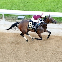 Thorpedo Anna wins the Apple Blossom Handicap.