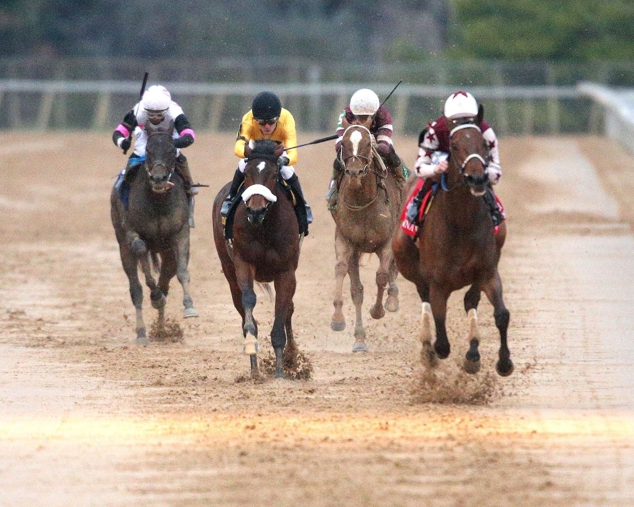 Thorpedo Anna wins the Azeri Stakes at Oaklawn Park.