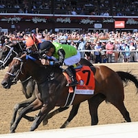 Thorpedo Anna wins the Personal Ensign (G1) at Saratoga.