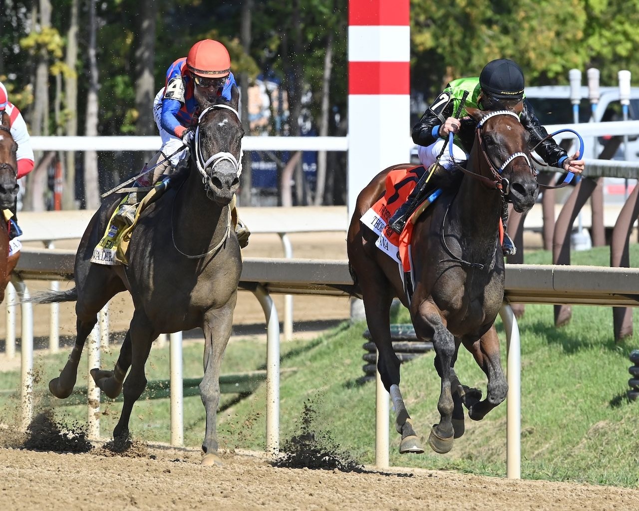 Thorpedo Anna wins the Personal Ensign (G2) at Saratoga.