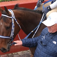 Thorpedo Anna training at Oaklawn Park. 