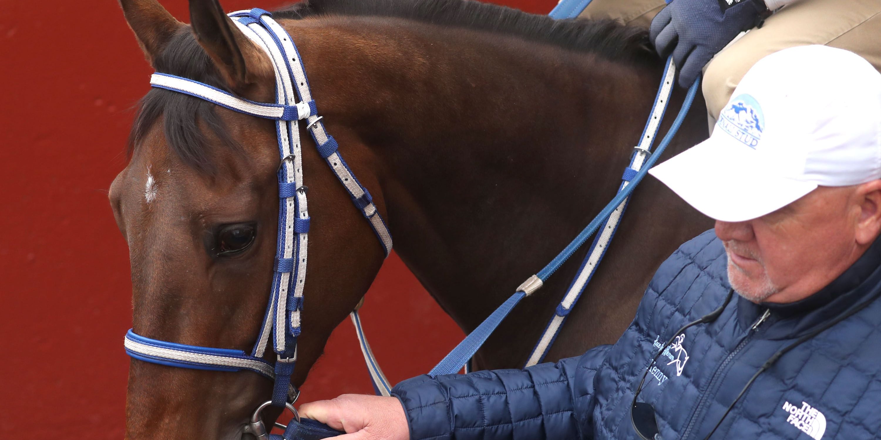 Thorpedo Anna training at Oaklawn Park. 
