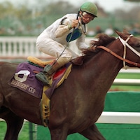 Timber Country, with Pat Day aboard, wins the 1994 Breeders' Cup Juvenile