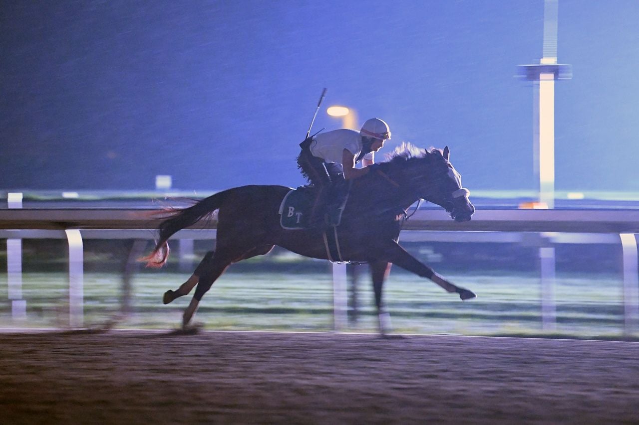Tiz the Law during morning training.