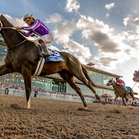 Tiztastic wins the Louisiana Derby at Fair Grounds.