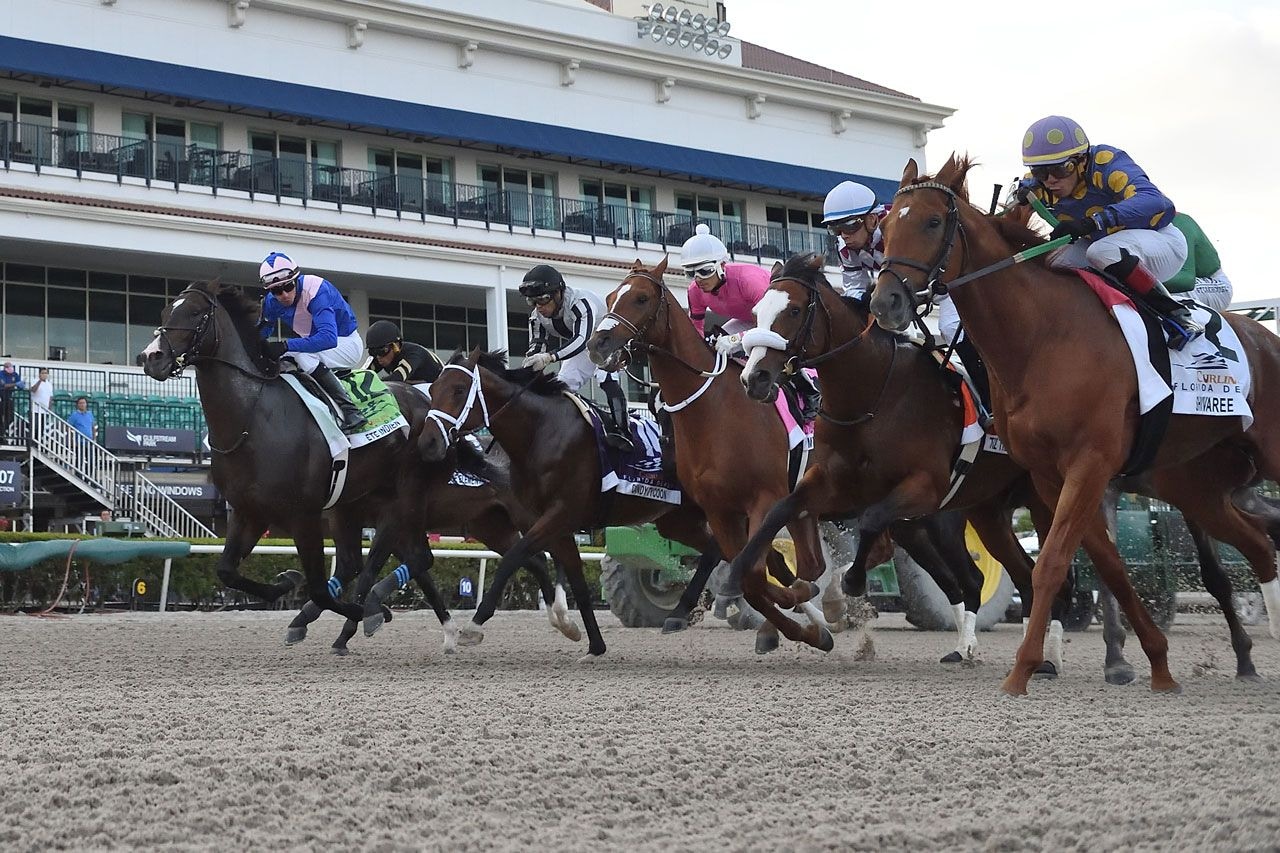 The start of the 2020 Florida Derby.