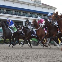 The start of the 2020 Florida Derby.