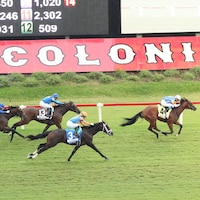 Tok Tok wins the Kitten's Joy S. over Triple Espresso