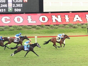 Tok Tok wins the Kitten's Joy S. over Triple Espresso