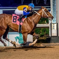 Track Phantom wins the Gun Runner S. at Fair Grounds (Photo by Hodges Photography)