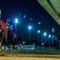 Track Phantom wins Lecomte