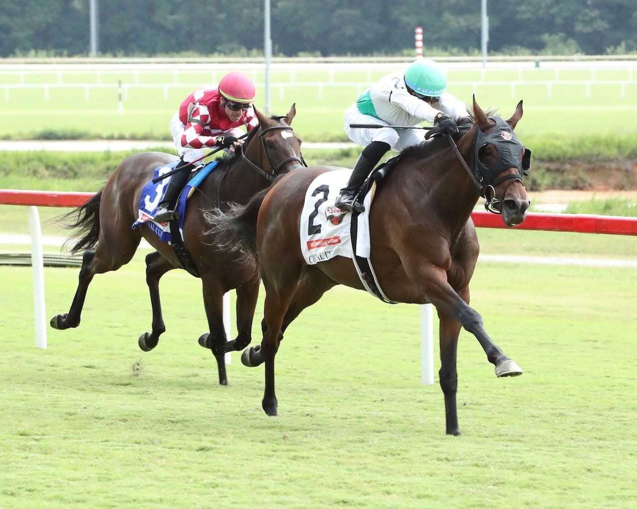 Truly Quality wins the Colonial Cup at Colonial Downs.
