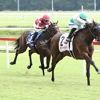 Truly Quality wins the Colonial Cup at Colonial Downs.