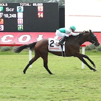 Truly Quality wins the Colonial Cup at Colonial Downs.