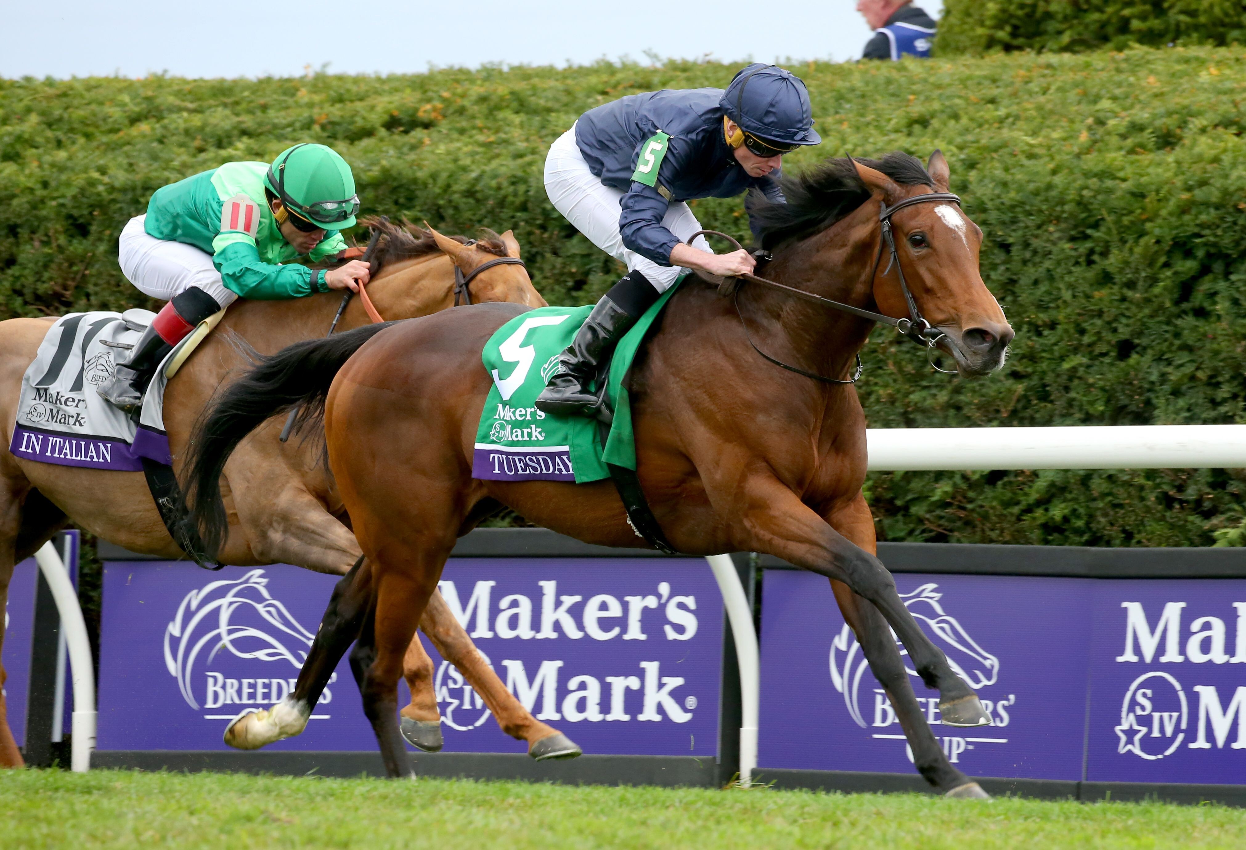 Tuesday wins the 2022 Breeders' Cup Filly & Mare Turf (G1)