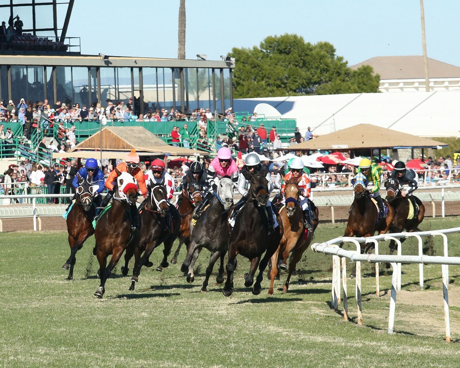 Racing at Turf Paradise.