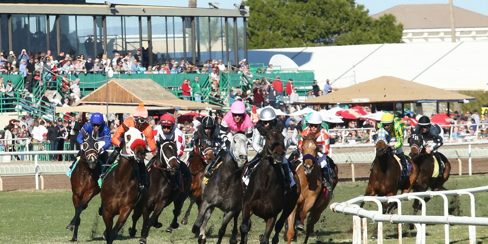 Racing at Turf Paradise.
