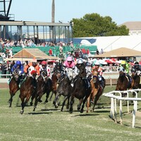 Racing at Turf Paradise.