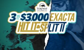 Turfway Park
