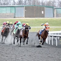 Racing at Turfway Park