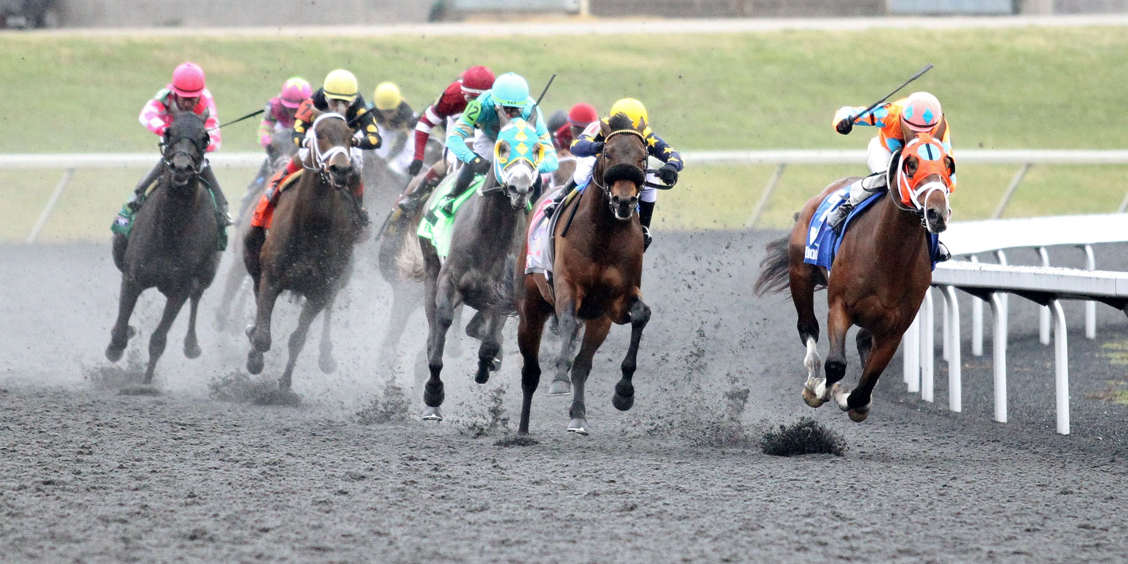 Racing at Turfway Park