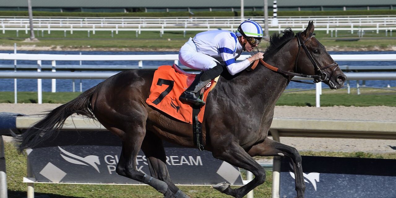 Tuscan Gold (Photo by Coglianese Photography / Credit to Lauren King)