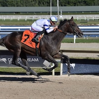 Tuscan Gold (Photo by Coglianese Photography / Credit to Lauren King)