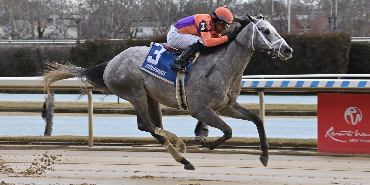 Tuscan Sky winning his debut at Aqueduct (Photo by Coglianese Photos)