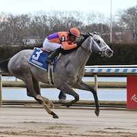 Tuscan Sky winning his debut at Aqueduct (Photo by Coglianese Photos)