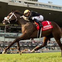 Two Out hero wins the Soaring Free Stakes at Woodbine.