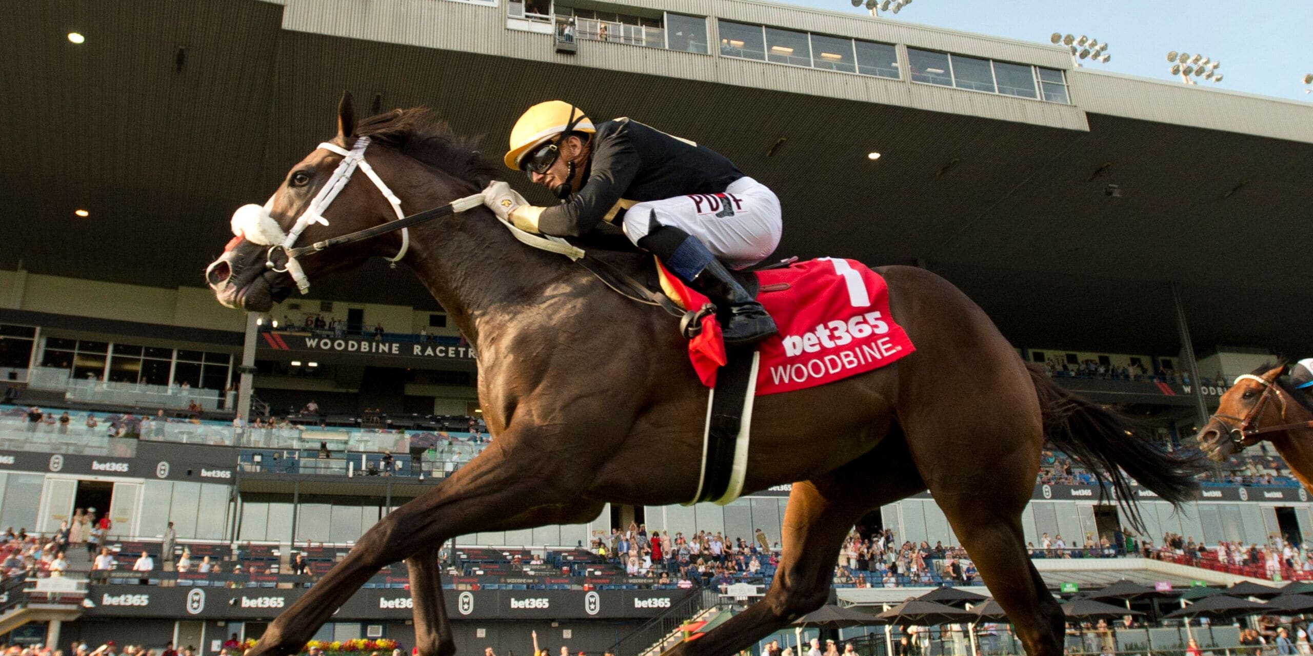 Two Out hero wins the Soaring Free Stakes at Woodbine.