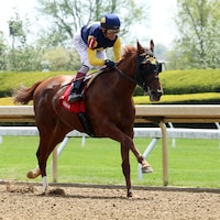 Ultima Grace romps in her Keeneland debut