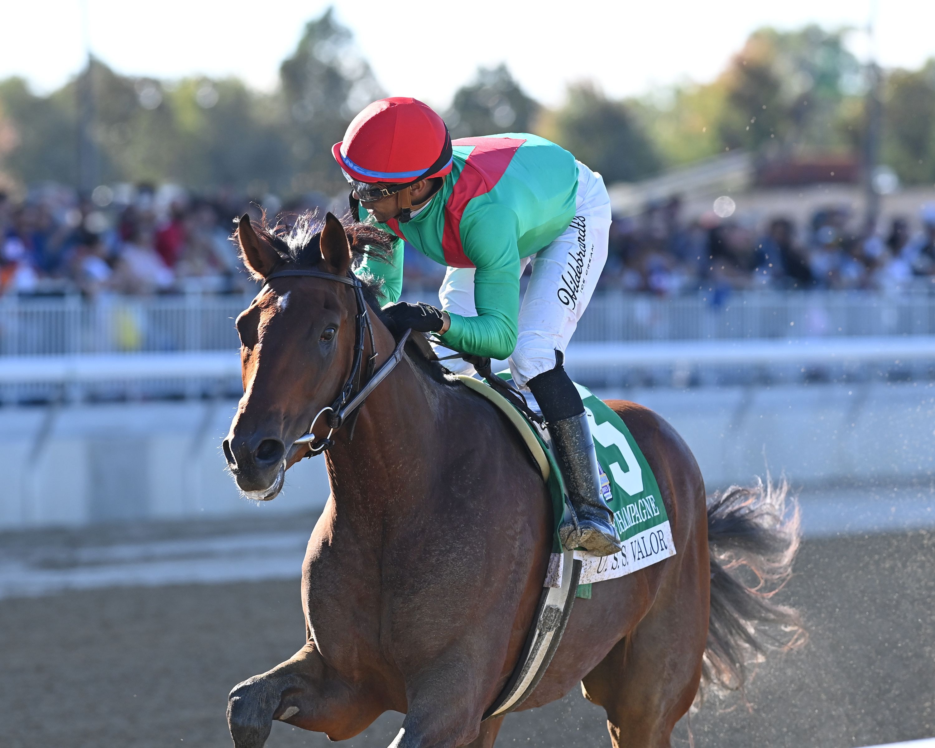 U. S. S. Valor wins the Champagne (G1) at Belmont Park.