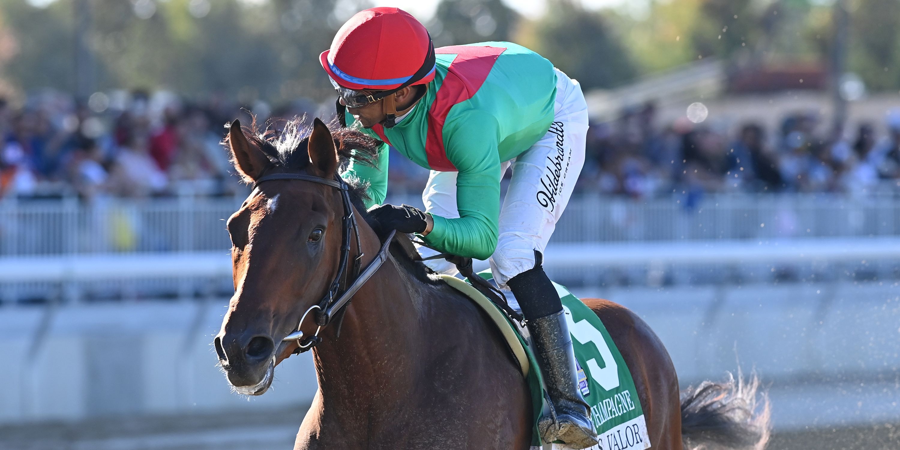 U. S. S. Valor wins the Champagne (G1) at Belmont Park.