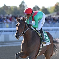 U. S. S. Valor wins the Champagne (G1) at Belmont Park.