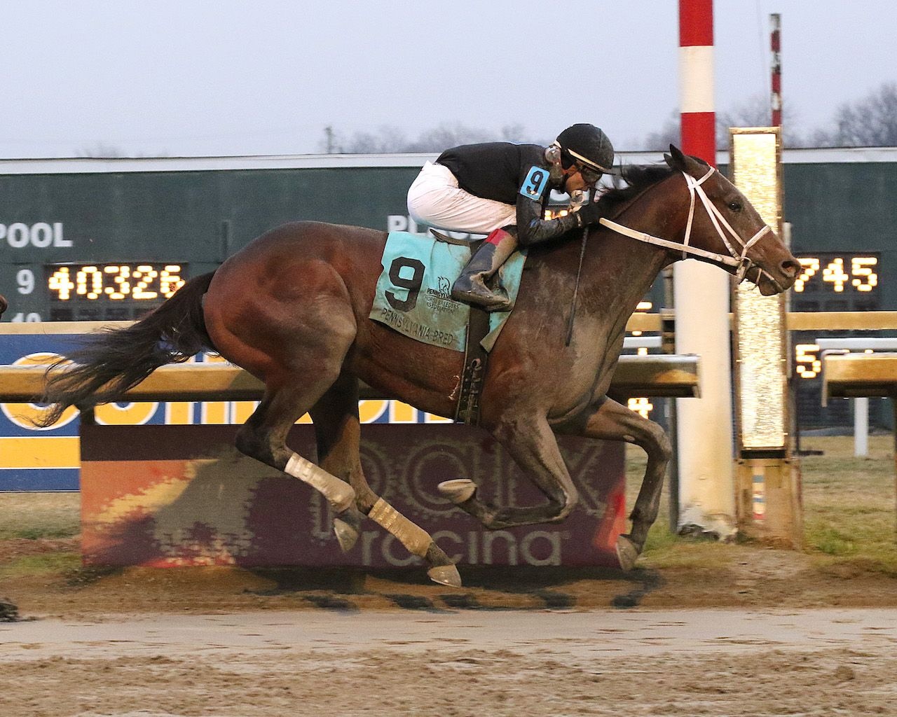 Uncle Heavy wins at Parx Racing (Photo by Equi-Photo / Credit to Bill Denver)