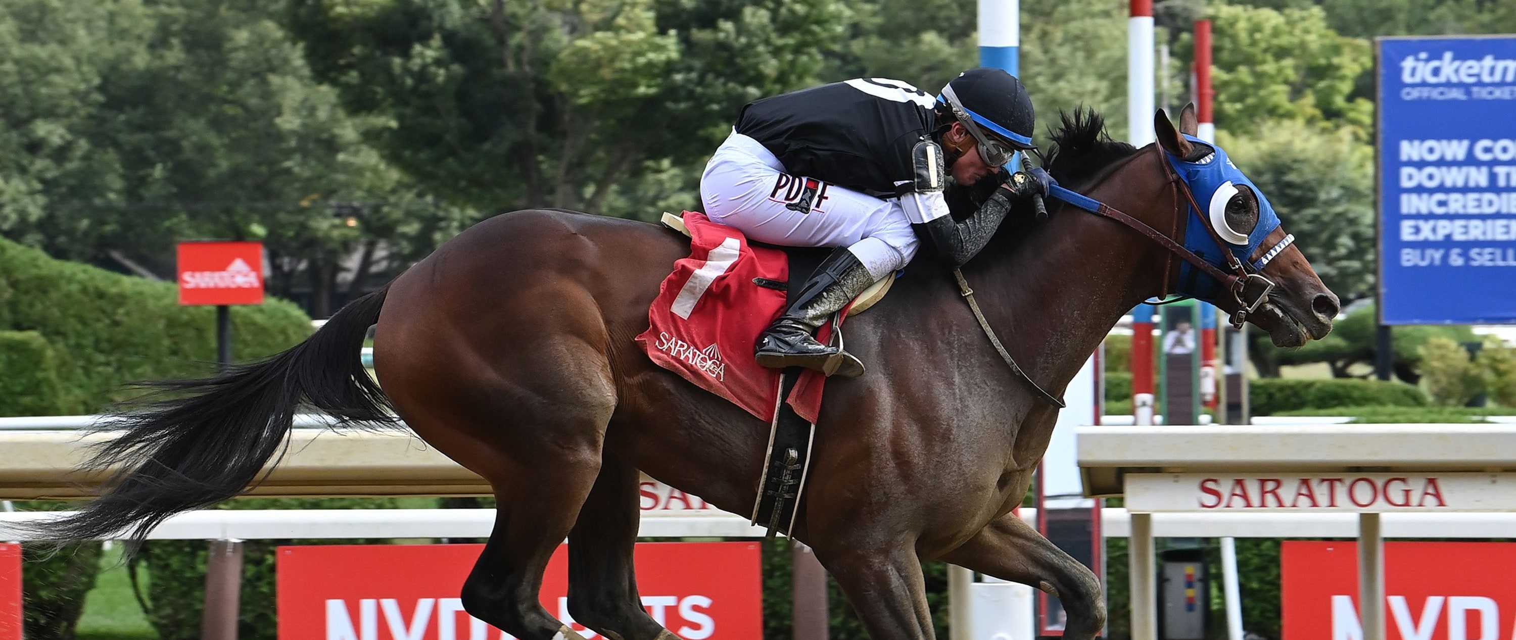Universe wins at Saratoga.