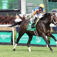 Up to the Mark winning the 2023 Old Forester Bourbon Turf Classic (G1) at Churchill Downs (Photo by Coady Photography)