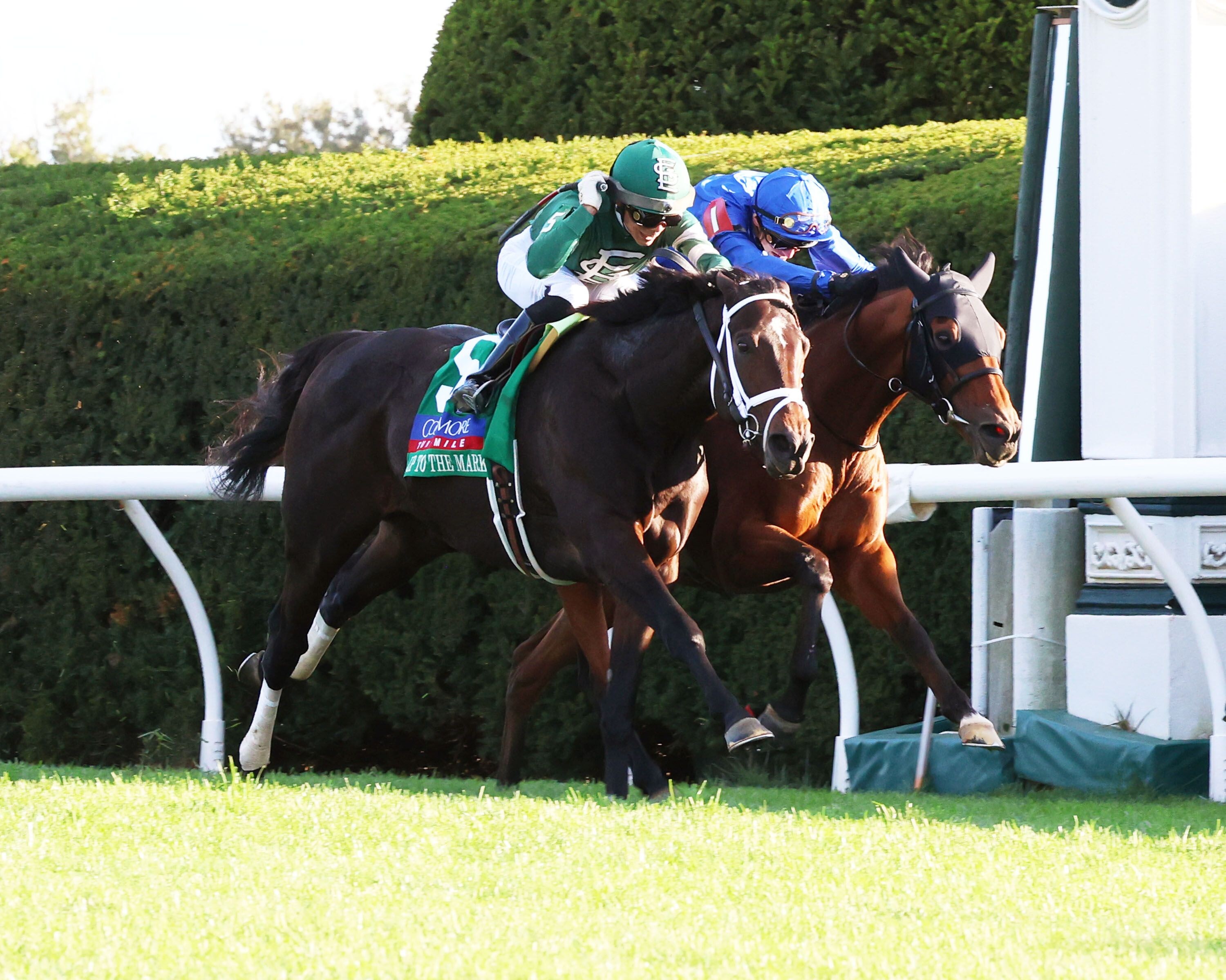 Up to the Mark nips Master of the Seas in the Coolmore Turf Mile