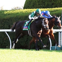 Up to the Mark nips Master of the Seas in the Coolmore Turf Mile