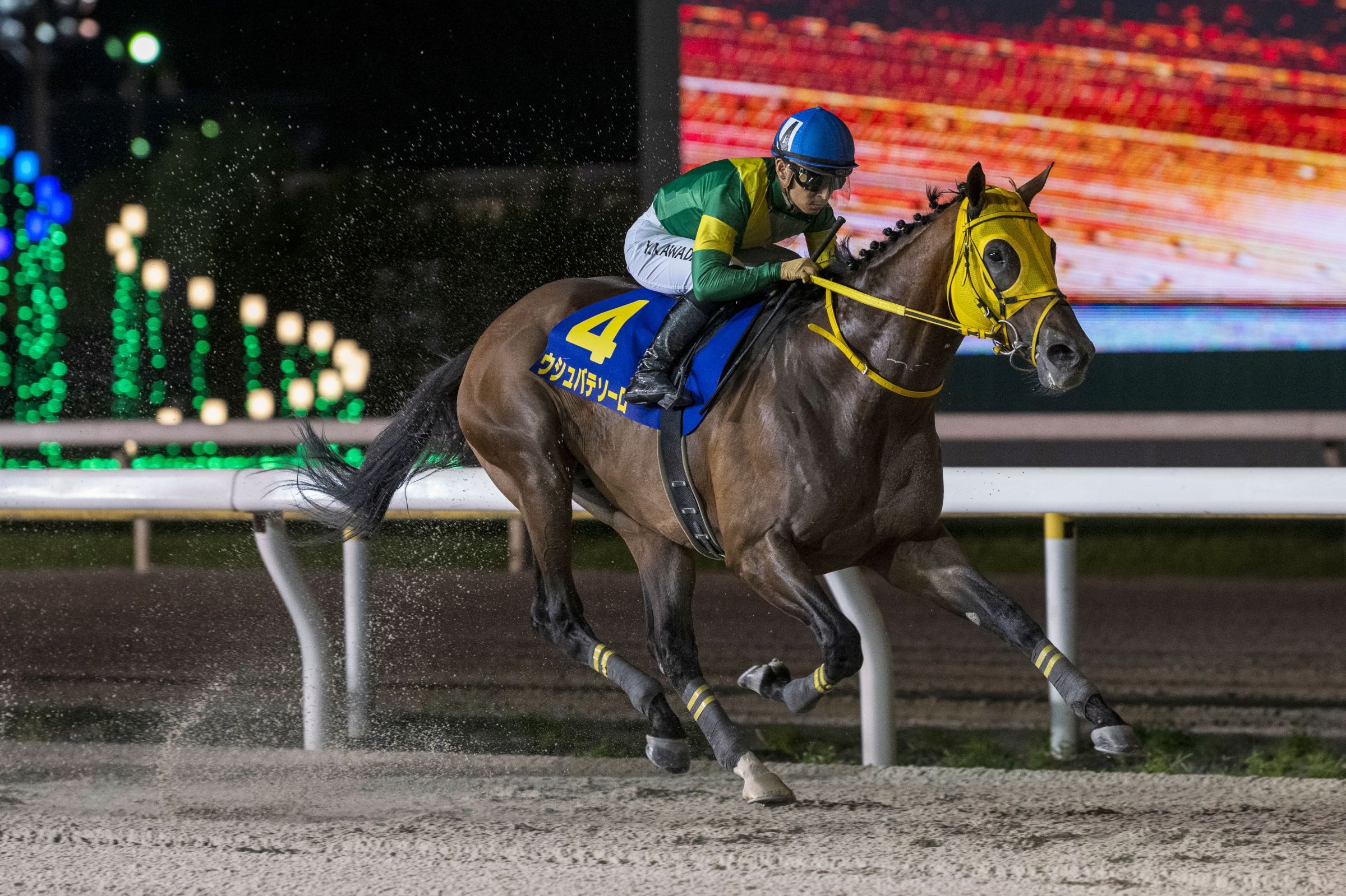 Ushba Tesoro breezed in his Breeders' Cup prep in the Nippon TV Hai