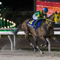 Ushba Tesoro breezed in his Breeders' Cup prep in the Nippon TV Hai