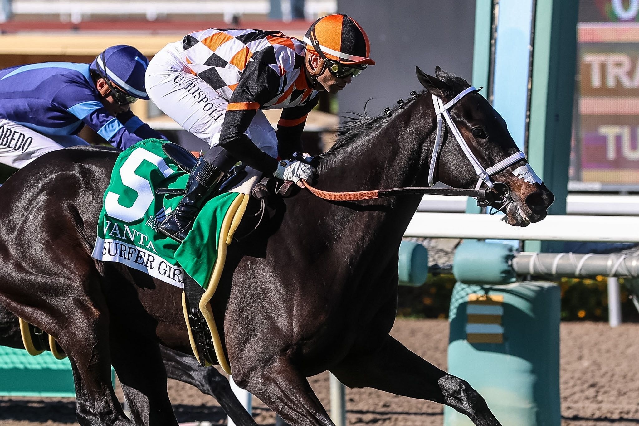 Vanta winning the Surfer Girl (G3) at Santa Anita.