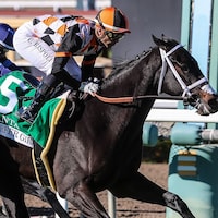 Vanta winning the Surfer Girl (G3) at Santa Anita.