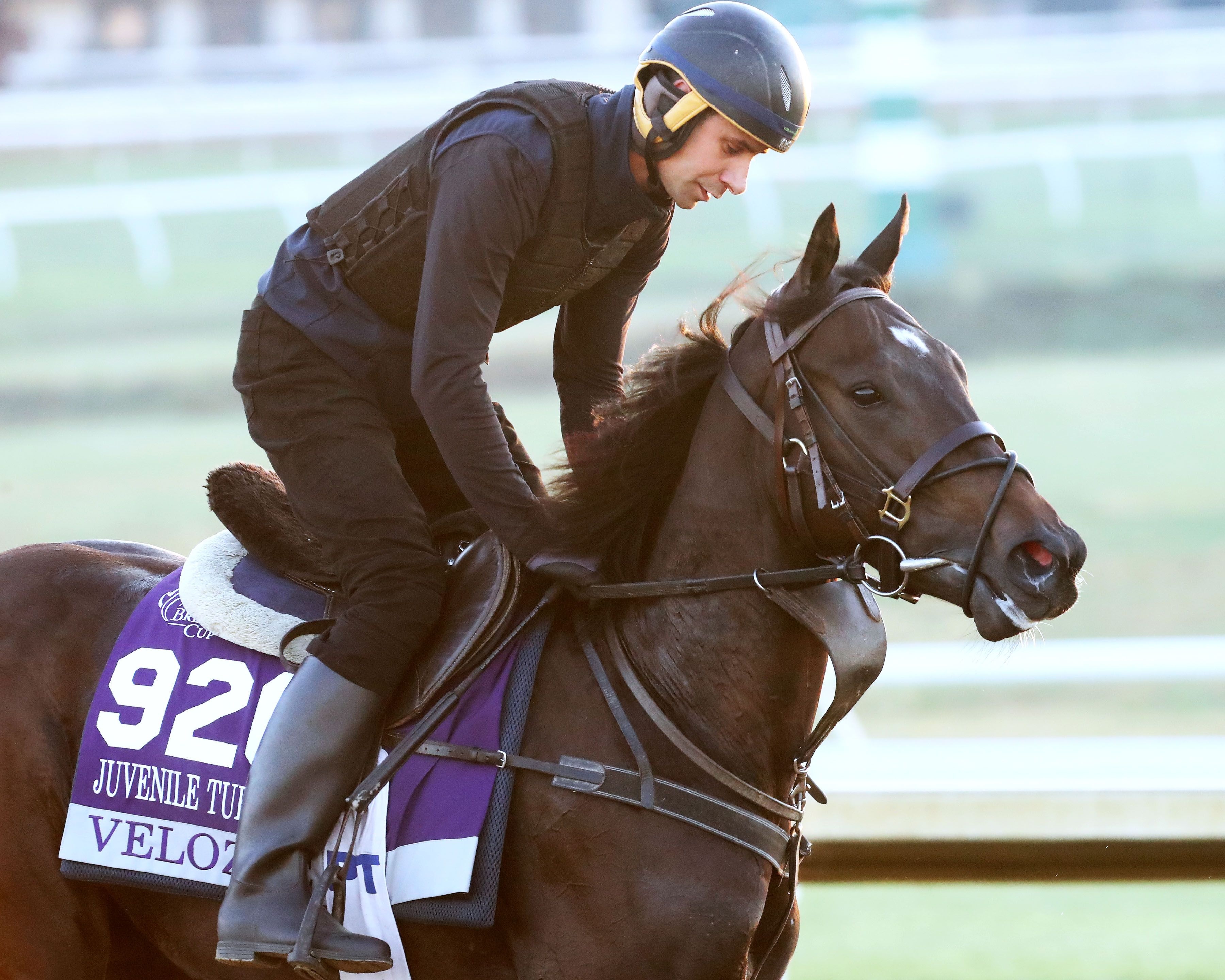 Velozee galloping at Keeneland.
