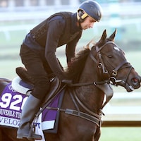 Velozee galloping at Keeneland.