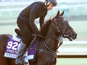 Velozee galloping at Keeneland.