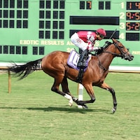 Vixen wins at Ellis Park.