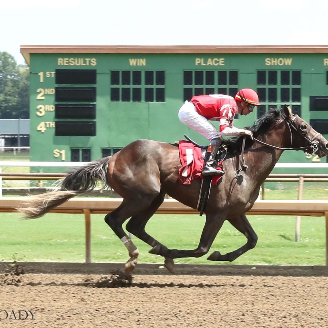 Vost wins at Ellis Park.