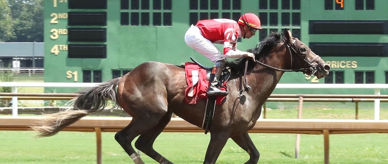 Vost wins at Ellis Park.
